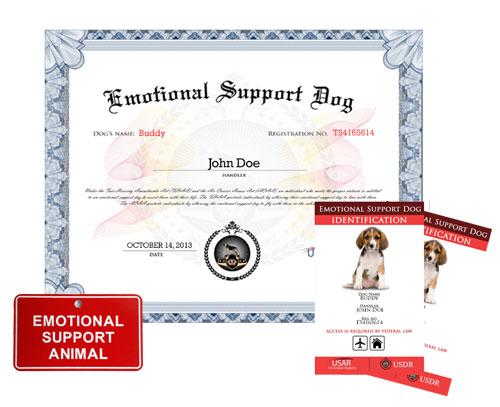 Emotional Support Dog Basic Kit » US Dog Registry