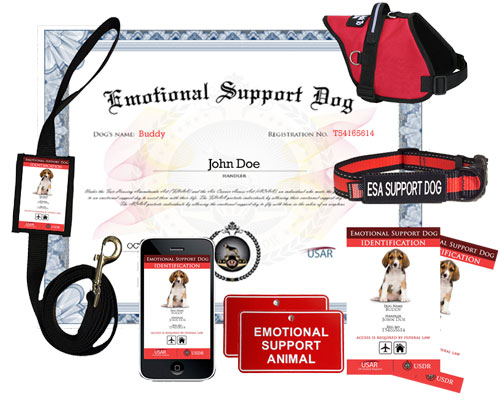 Emotional Support Dog Deluxe Kit » US Dog Registry