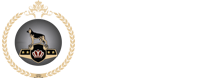 Service Dog Basic Plus Kit - US Dog Registry