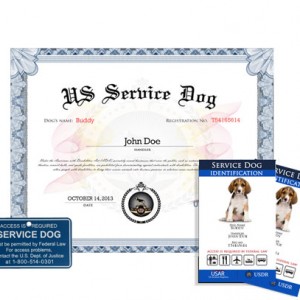 Service Dog Basic Plus Kit » US Dog Registry