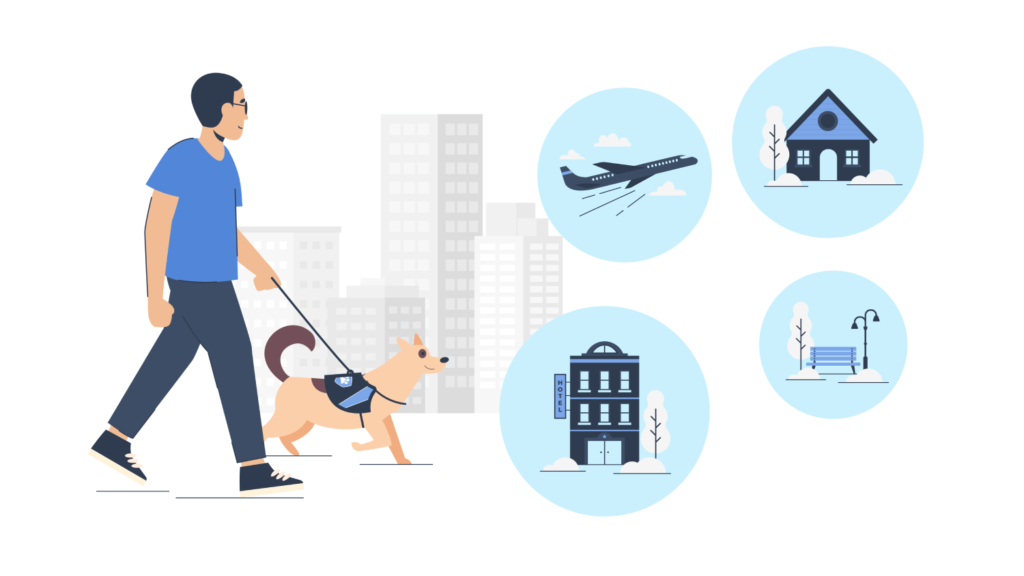 Where is a Service Dog allowed to Go US Dog Registry