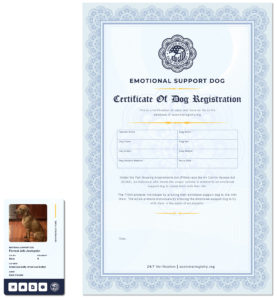 Add/New Handler - Certificate & ID Card