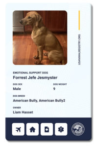 Replacement ID Card for Existing Customers