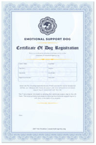 Replacement Certificate