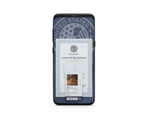 Electronic Copy of Certificate and ID Card