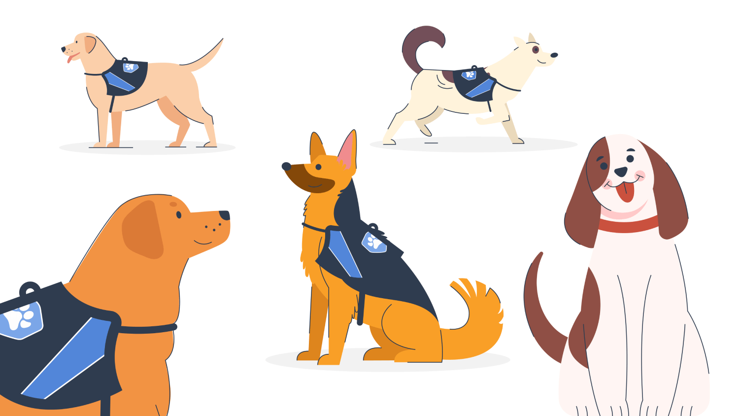 Top Service Dog Breeds