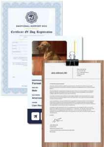 Renew PSD Letter + Update ID & Certificate