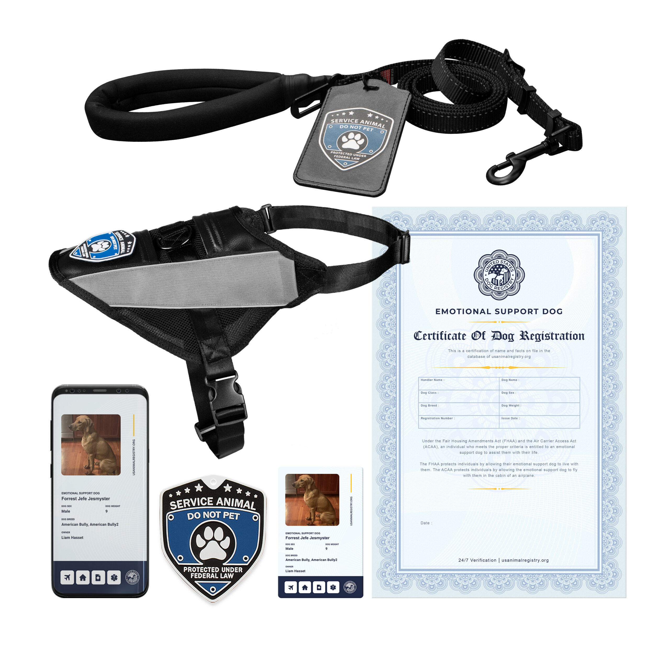 Service deals dog registration