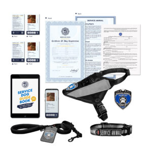 PSD All Access Upgrade High-Visibility Bundle (70% off)