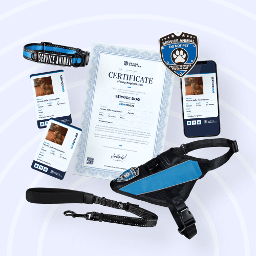 Service Dog Kit Deluxe