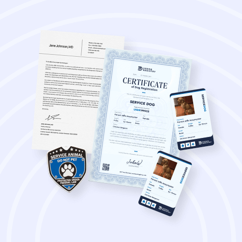Psychiatric Service Dog Basic Kit + Signed PSD Letter